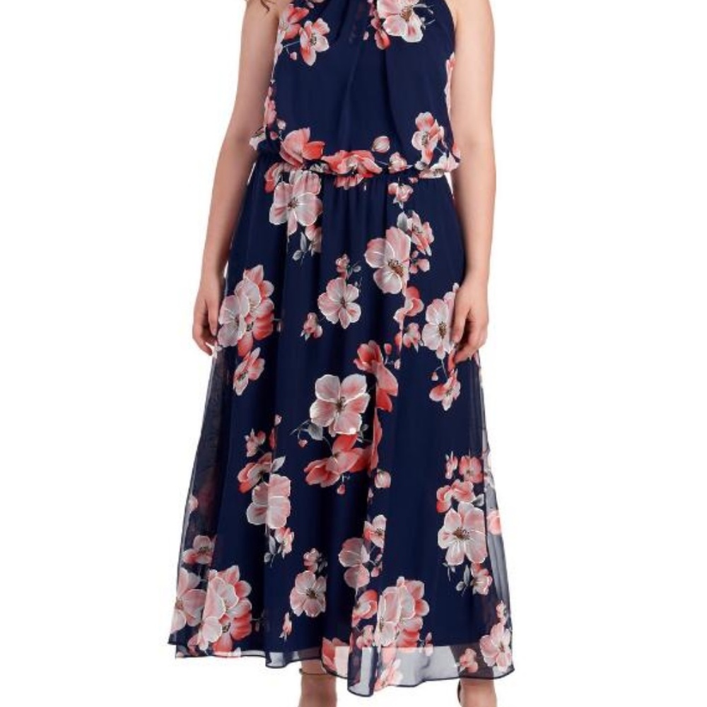 SIGNATURE BY ROBBIE BEE Women's Plus FLORAL DRESS